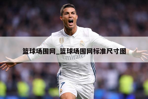 篮球场围网_篮球场围网标准尺寸图