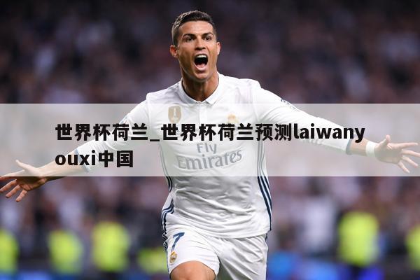世界杯荷兰_世界杯荷兰预测laiwanyouxi中国