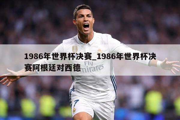 1986年世界杯决赛_1986年世界杯决赛阿根廷对西德