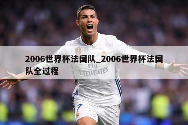 2006世界杯法国队_2006世界杯法国队全过程